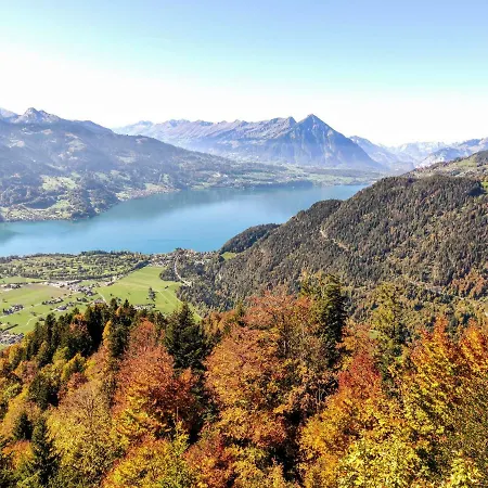 Swiss 