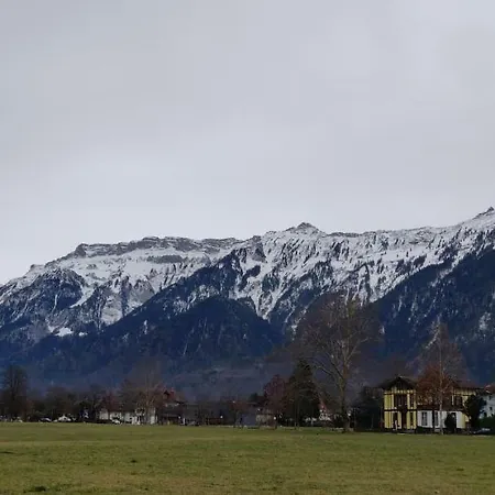 Swiss 